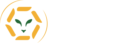 Leo Travel